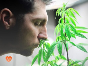 Детоксикация от марихуаны в Шлиссельбурге